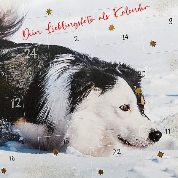 Adventskalender
