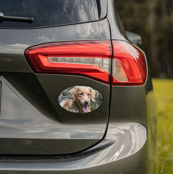 Sticker oval 5er Set – Bild 2