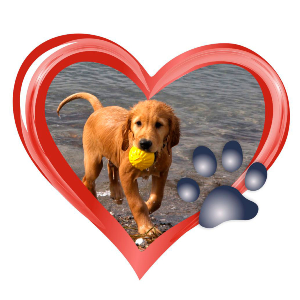 Sticker Herz – Bild 4